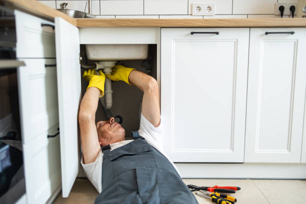 Best Best Plumbers Near Me  in Attica, MI