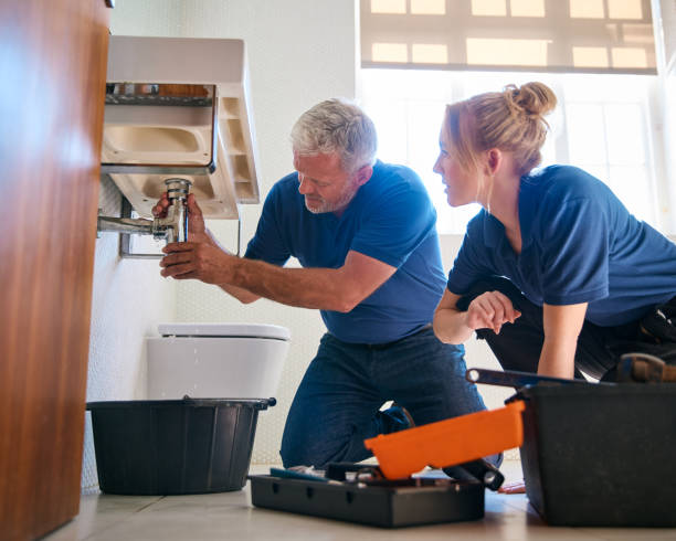 Best Affordable Plumbing Services  in Attica, MI